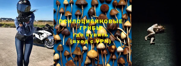 гашик Балахна
